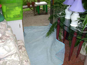 Protective coverings